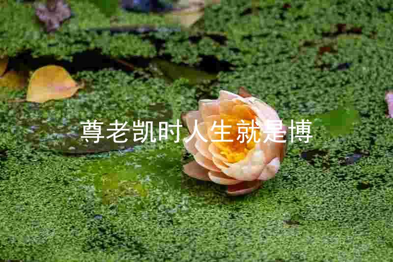 尊老凯时人生就是博