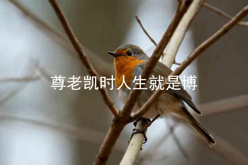 尊老凯时人生就是博